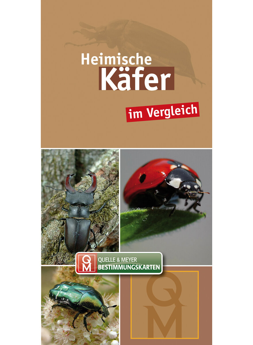 HEIMISCHE KFER IM VERGLEICH - Q&M BESTIMMUNGSKARTE