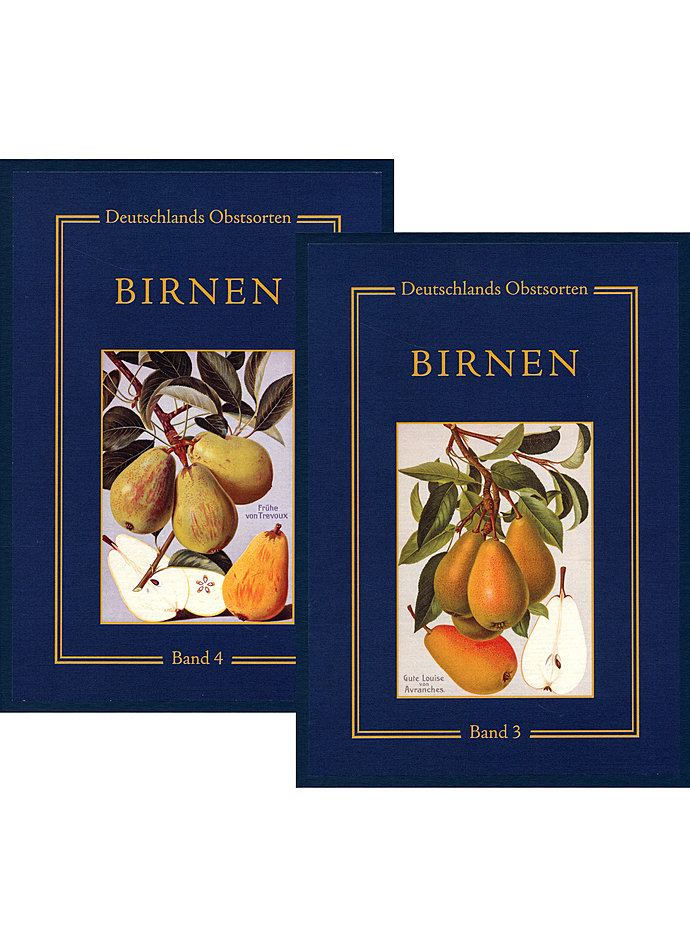Auf diesem Bild sehen Sie das Produktbild 1 fr DEUTSCHLANDS OBSTSORTEN BIRNEN 2 BNDE - MLLER/BIMANN/U. A.