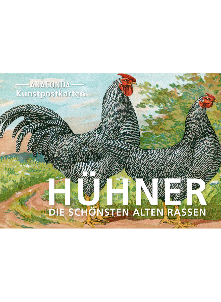 KUNSTPOSTKARTEN HHNER -