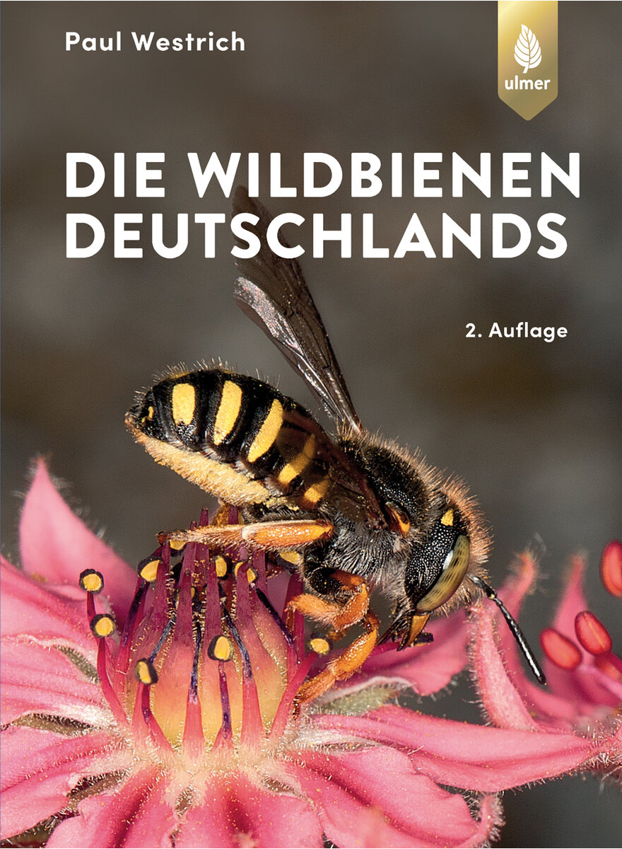 Auf diesem Bild sehen Sie das Produktbild 1 fr DIE WILDBIENEN DEUTSCHLANDS - PAUL WESTRICH