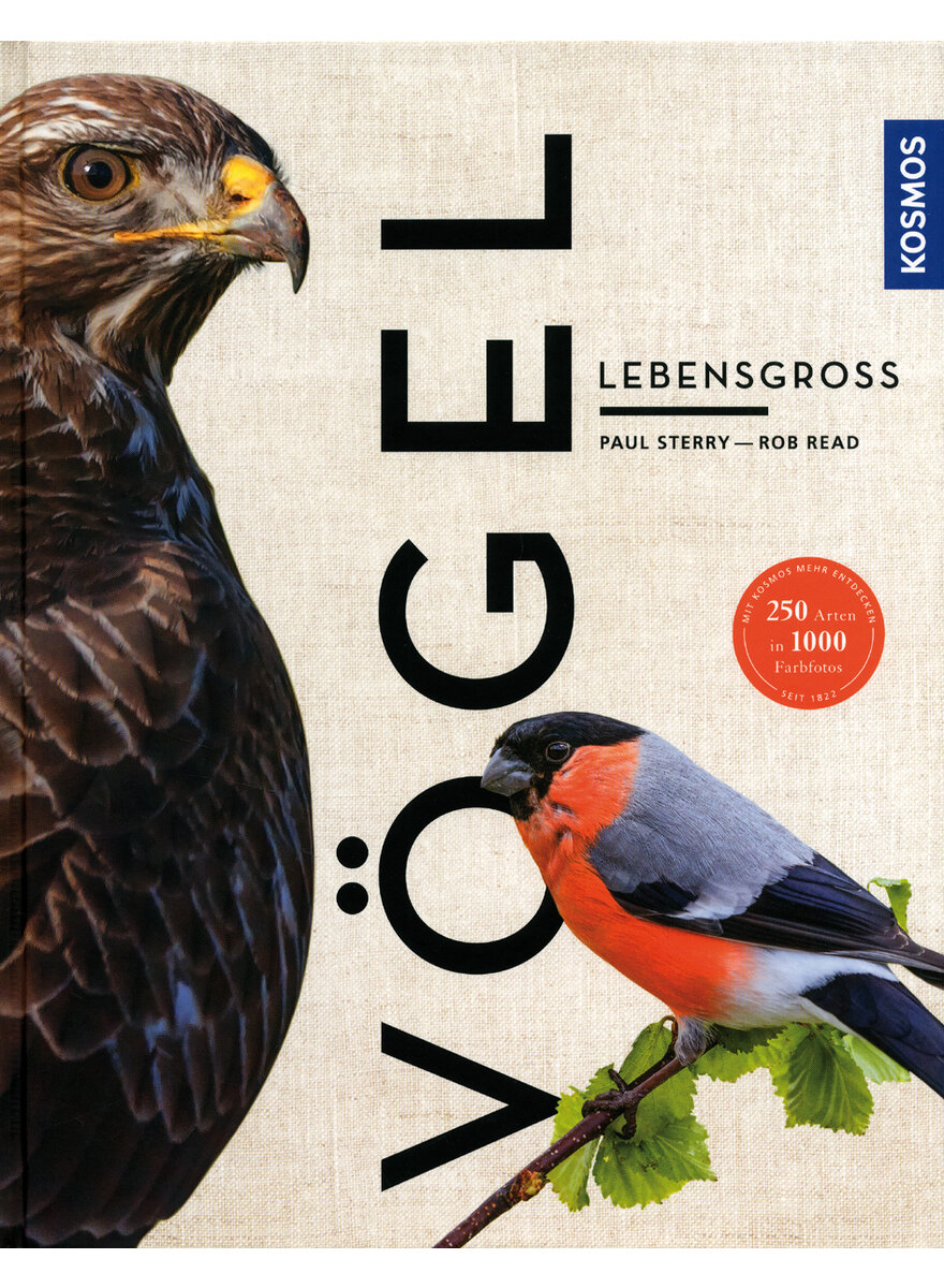 VGEL LEBENSGROSS - STERRY/READ