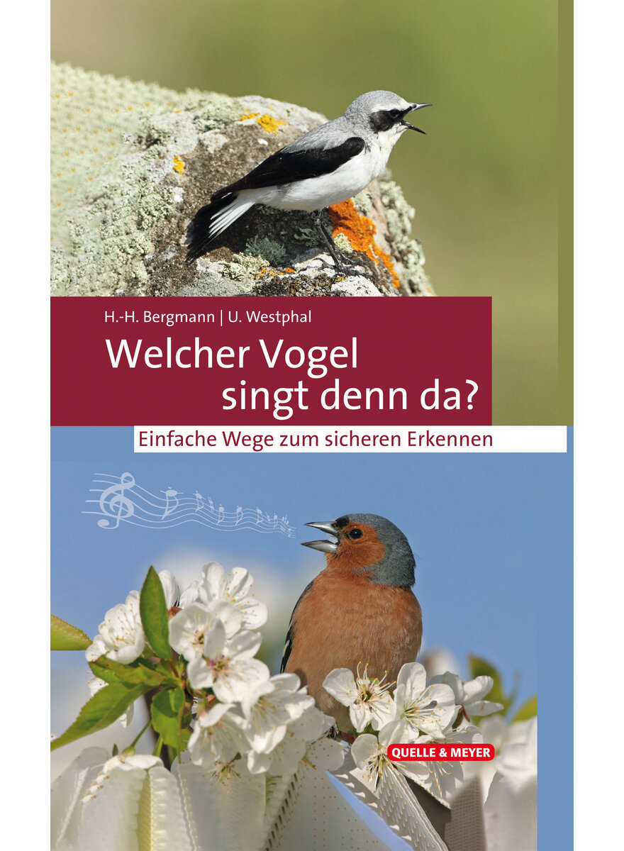 WELCHER VOGEL SINGT DENN DA? - BERGMANN/WESTPHAL