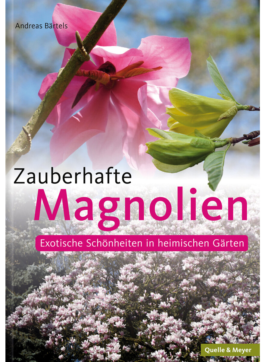 ZAUBERHAFTE MAGNOLIEN - ANDREAS BRTELS