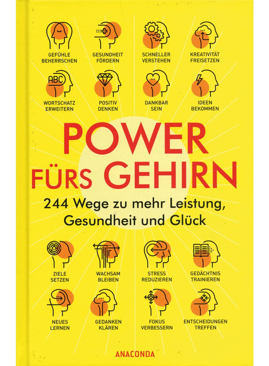 POWER FRS GEHIRN -