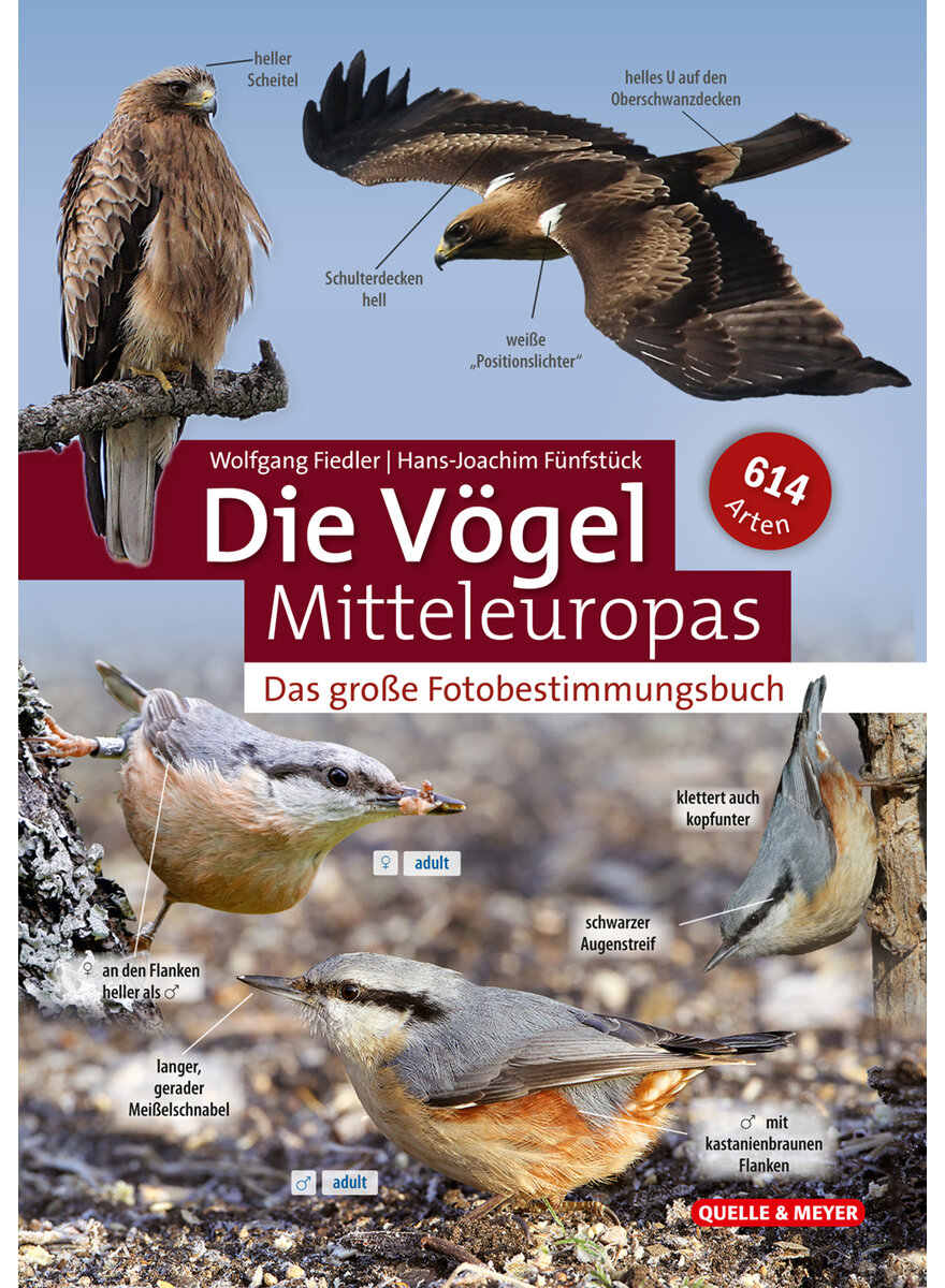 DIE VGEL MITTELEUROPAS - DAS GROE FOTOBESTIMMUNGSBUCH - FIEDLER/FNFSTCK