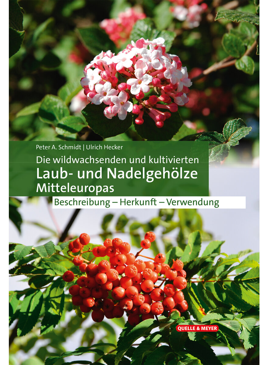 Auf diesem Bild sehen Sie das Produktbild 1 f�r DIE WILDWACHSENDEN UND KULTI- VIERTEN LAUB- UND NADELGEH�LZE MITTELEUROPAS - SCHMIDT/HECKER