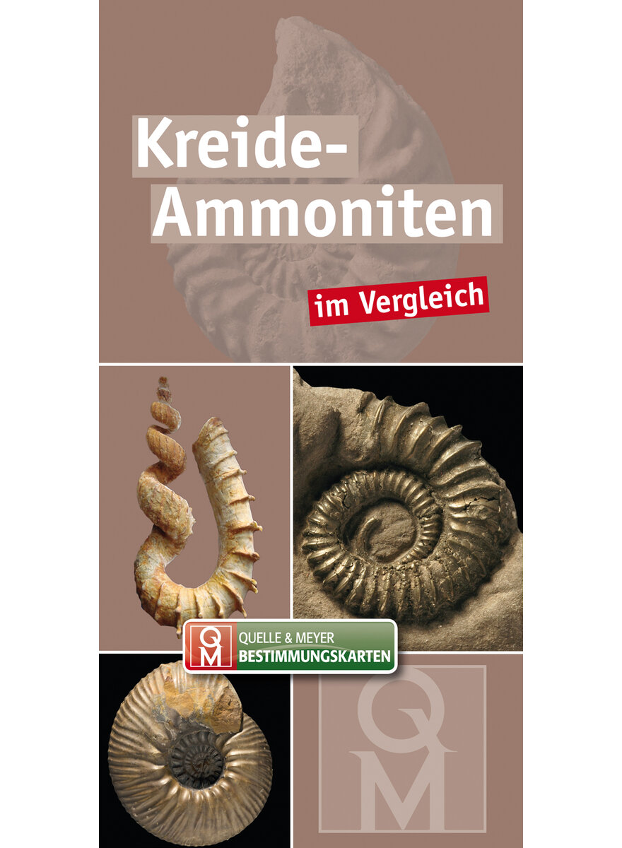 KREIDE-AMMONITEN IM VERGLEICH Q&M BESTIMMUNGSKARTE