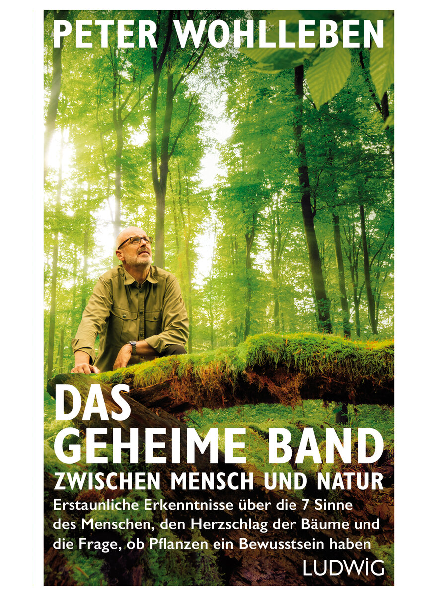Auf diesem Bild sehen Sie das Produktbild 1 fr DAS GEHEIME BAND ZWISCHEN MENSCH UND NATUR - PETER WOHLLBEN
