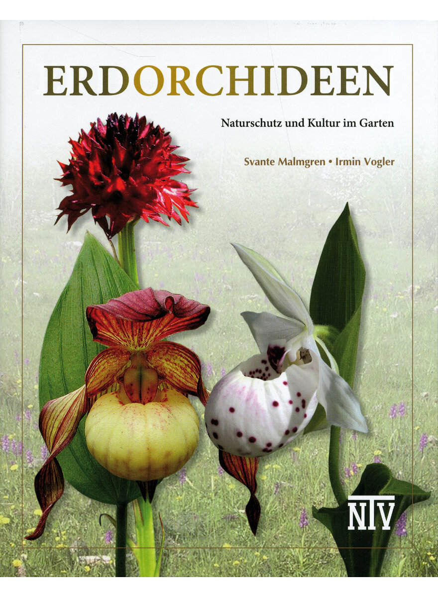 ERDORCHIDEEN - MALMGREN/VOGLER