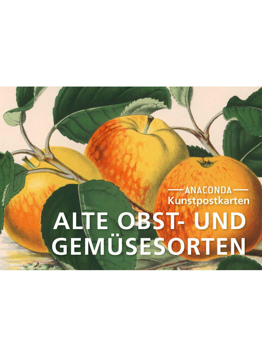 Auf diesem Bild sehen Sie das Produktbild 1 fr KUNSTPOSTKARTEN ALTE OBST- UND GEMSESORTEN