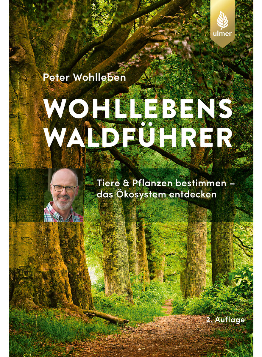 WOHLLEBENS WALDFÜHRER - PETER WOHLLEBEN