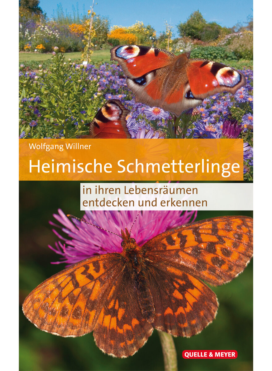 HEIMISCHE SCHMETTERLINGE IN IHREN LEBENSRUMEN - WOLFGANG WILLNER