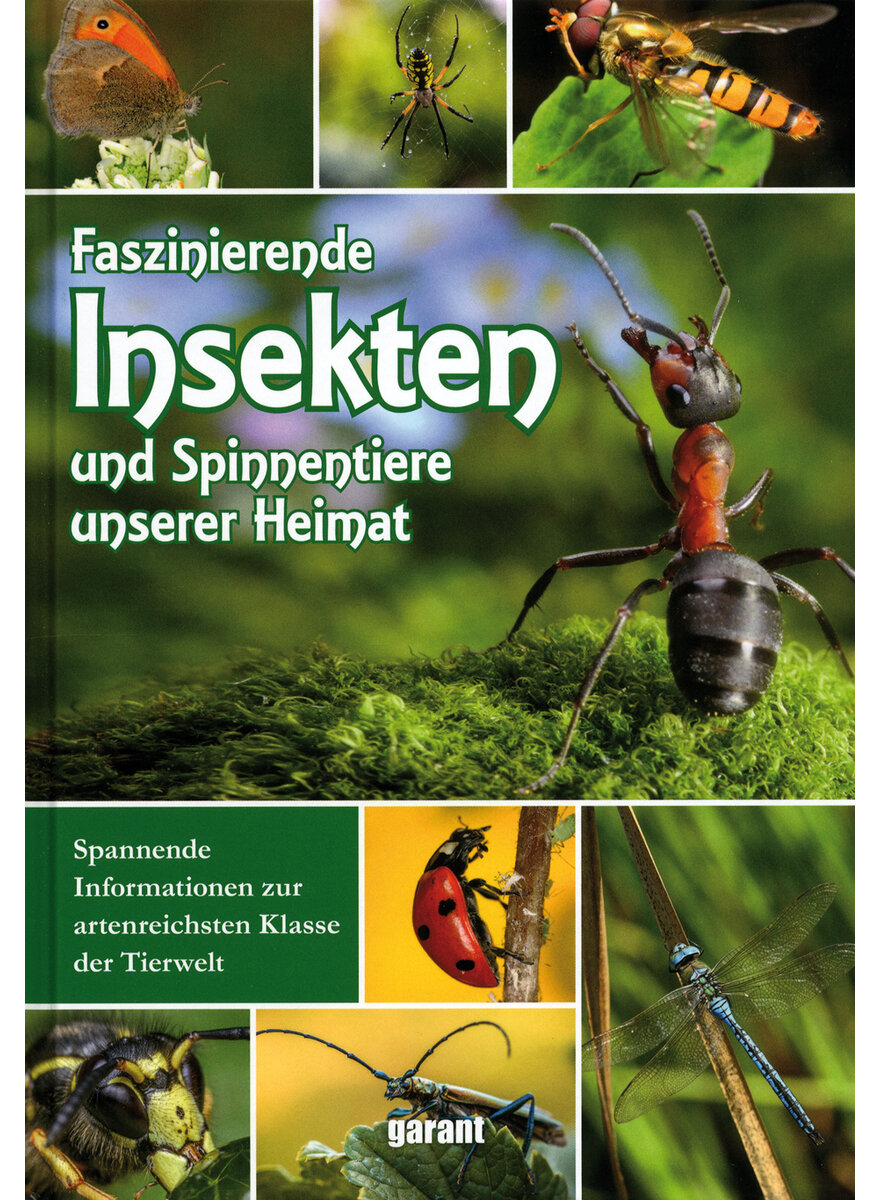 FASZINIERENDE INSEKTEN UND SPINNENTIERE UNSERER HEIMAT -