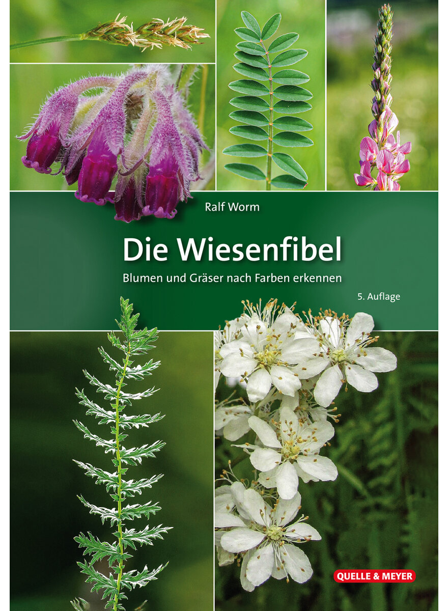 DIE WIESENFIBEL - RALF WORM