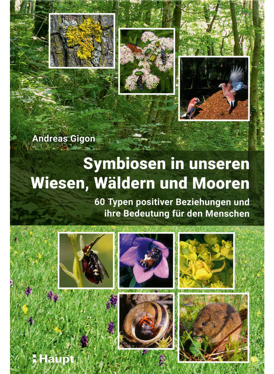 SYMBIOSEN IN UNSEREN WIESEN WLDERN UND MOOREN - ANDREAS GIGON