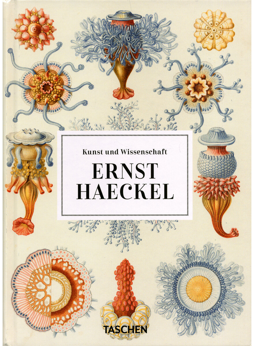 Auf diesem Bild sehen Sie das Produktbild 1 fr ERNST HAECKEL - KUNST UND WISSENSCHAFT - WILLMAN/VOSS