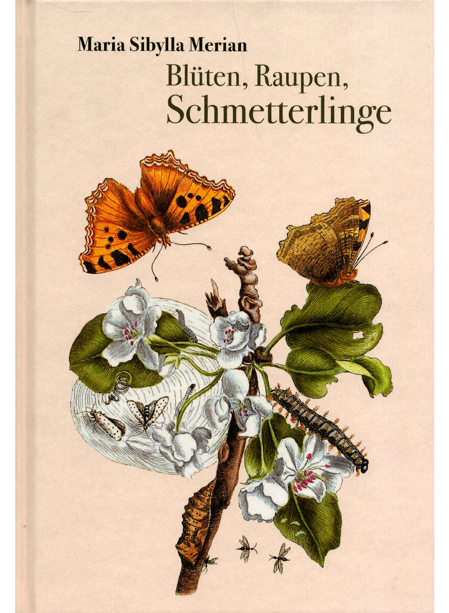 BLTEN RAUPEN SCHMETTERLINGE - MARIA SIBYLLA MERIAN