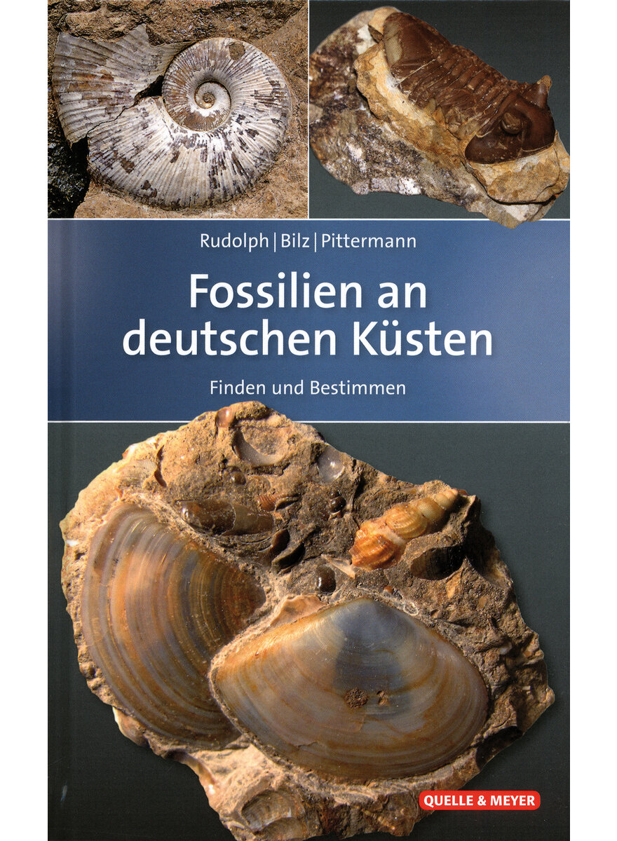 FOSSILIEN AN DEUTSCHEN     (M) KSTEN - RUDOLPH/BILZ/ PITTERMANN