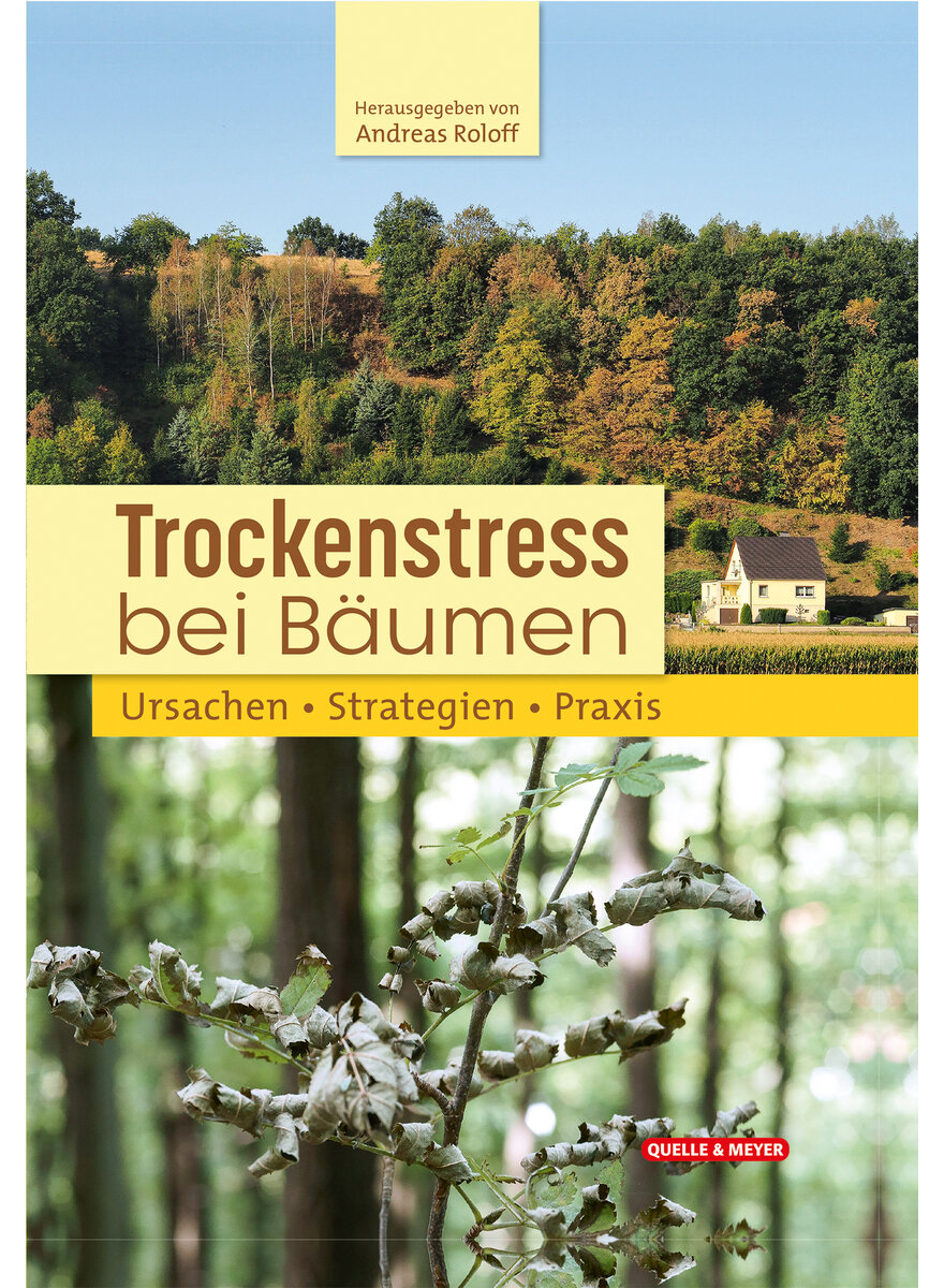 TROCKENSTRESS BEI BUMEN - ANDREAS ROLOFF (HG.)