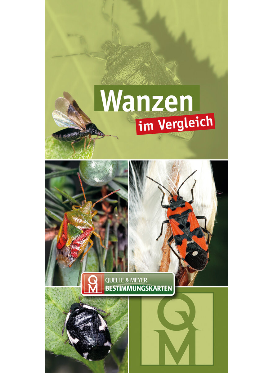 WANZEN IM VERGLEICH - QUELLE & MEYER BESTIMMUNGSKARTE