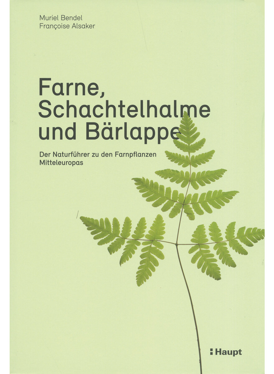 FARNE SCHACHTELHALME UND BRLAPPE - BENDEL/ALSAKER