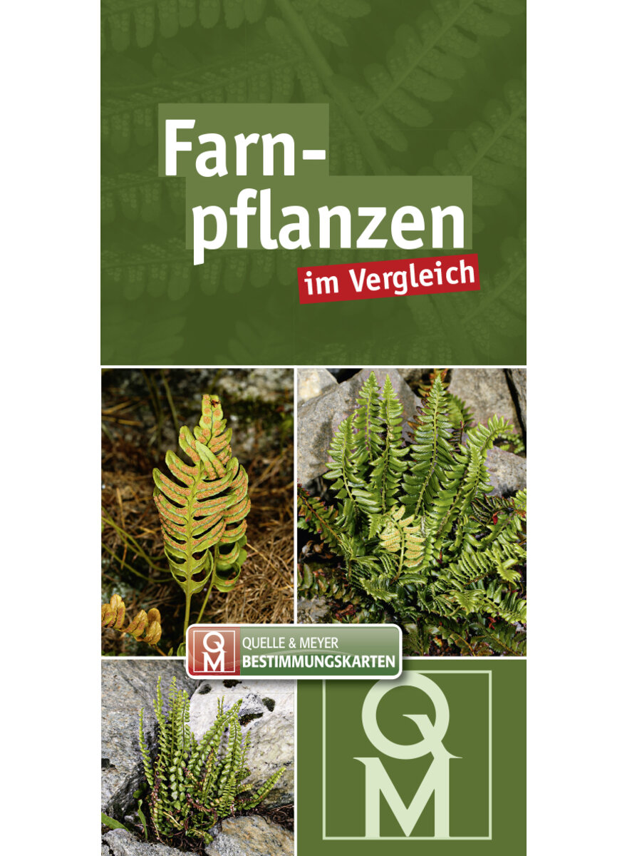 Auf diesem Bild sehen Sie das Produktbild 1 fr FARNPFLANZEN IM VERGLEICH - Q&M BESTIMMUNGSKARTE
