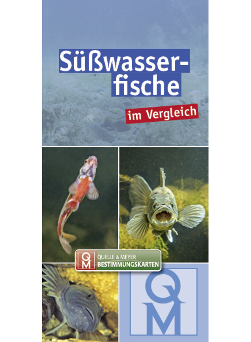 SWASSERFISCHE IM VERGLEICH - Q&M BESTIMMUNGSKARTE