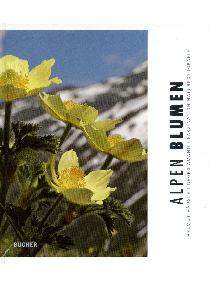 ALPEN BLUMEN - HUSLE/AMANN