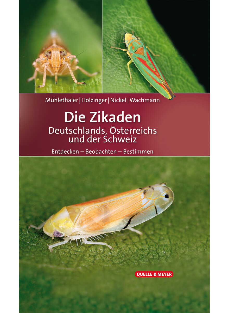 DIE ZIKADEN DEUTSCHLANDS  (M) STERREICHS UND DER SCHWEIZ - MHLETHALER/HOLZINGER/NICKEL