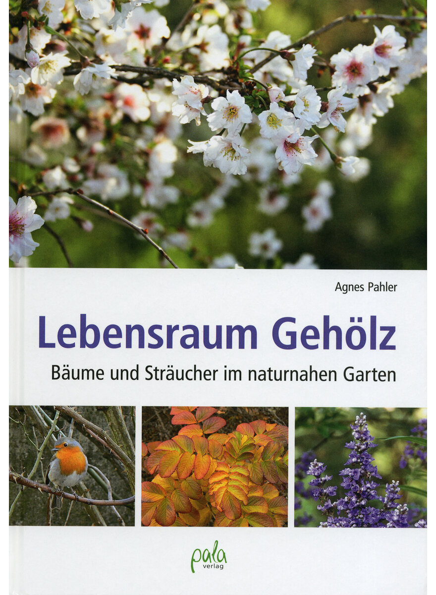 LEBENSRAUM GEHLZ - AGNES PAHLER