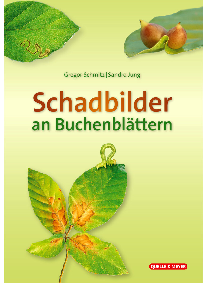 SCHADBILDER AN BUCHENBLTTERN - SCHMITZ/JUNG