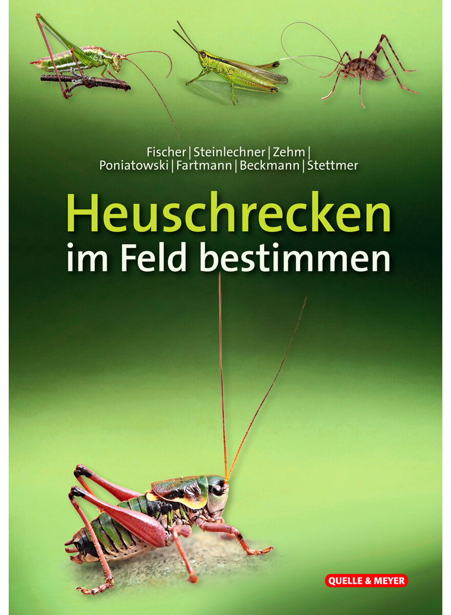 HEUSCHRECKEN IM FELD BESTIMMEN FISCHER/STEINLECHNER/ZEHM U.A.