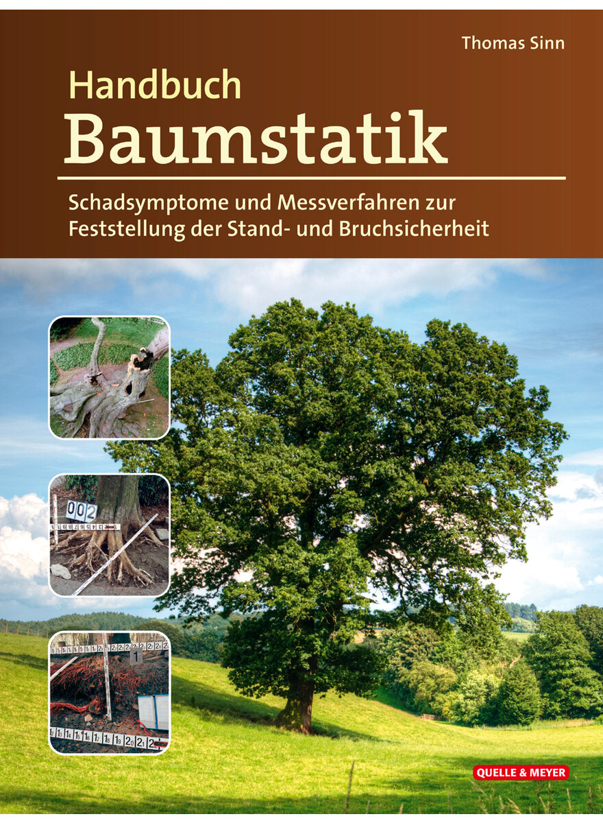 HANDBUCH BAUMSTATIK - THOMAS SINN