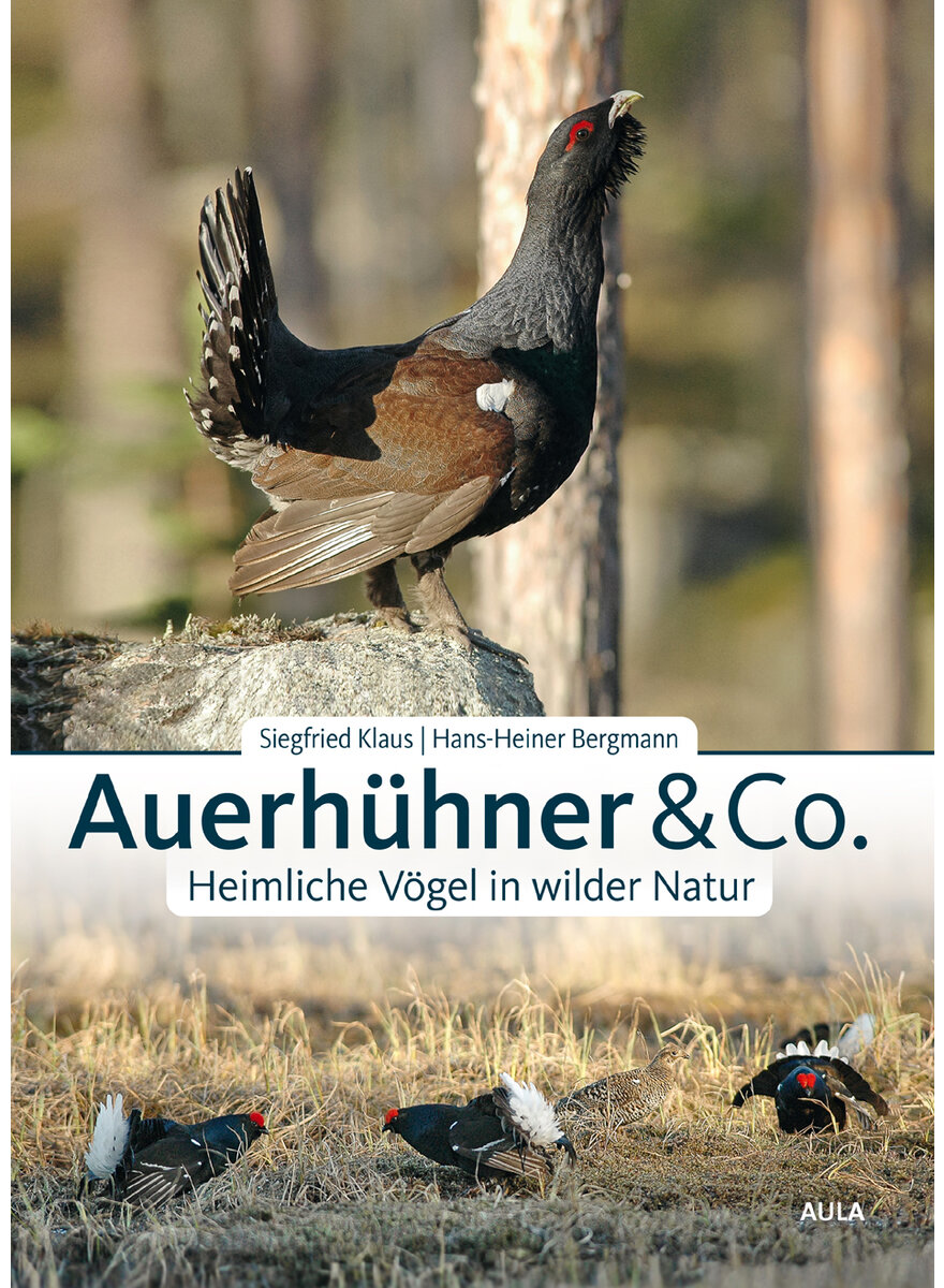 Auf diesem Bild sehen Sie das Produktbild 1 fr AUERHHNER UND CO. - (M) KLAUS/BERGMANN