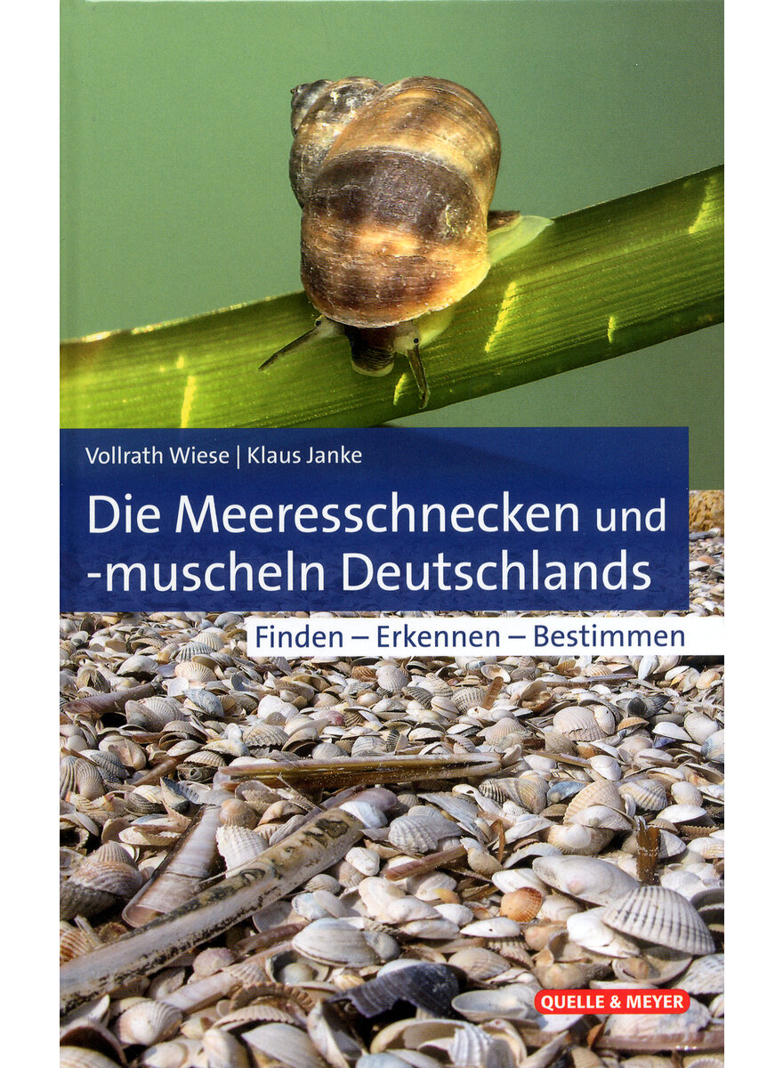 DIE MEERESSCHNECKEN UND  (M) -MUSCHELN DEUTSCHLANDS - WIESE/JANKE