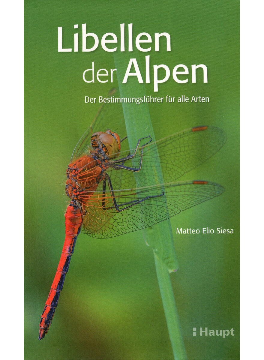 LIBELLEN DER ALPEN - MATTEO ELIO SIESA