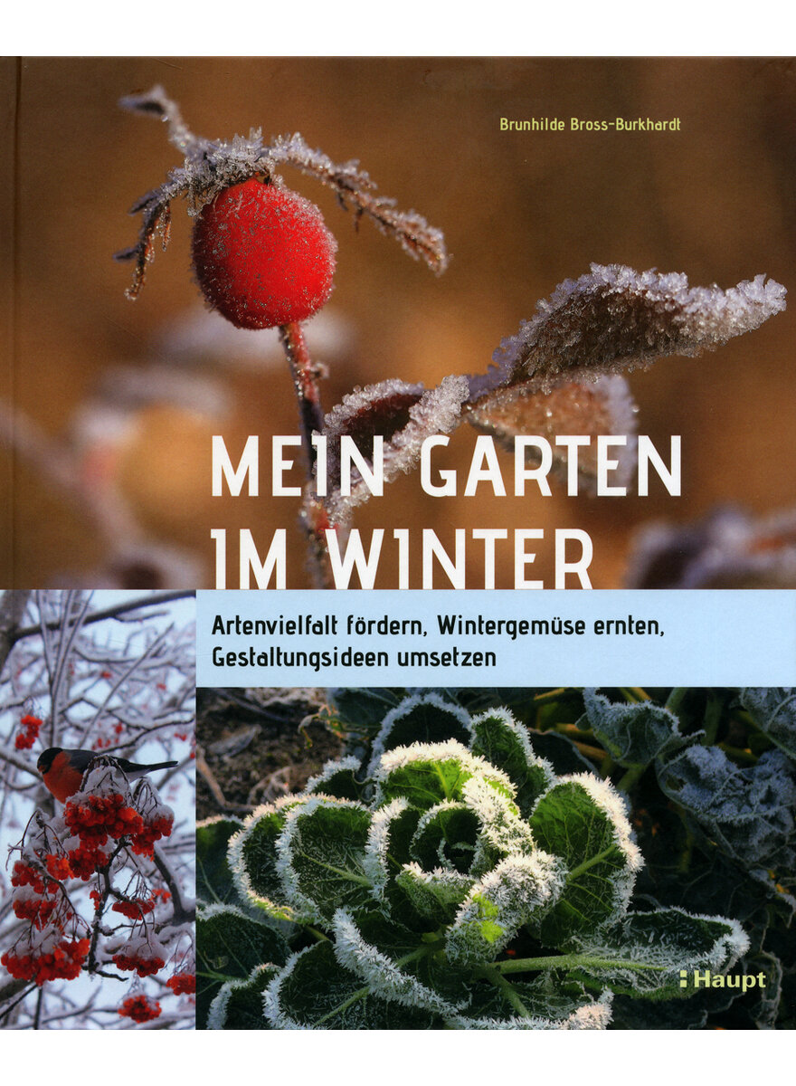 MEIN GARTEN IM WINTER - BRUNHILDE BROSS-BURKHARDT