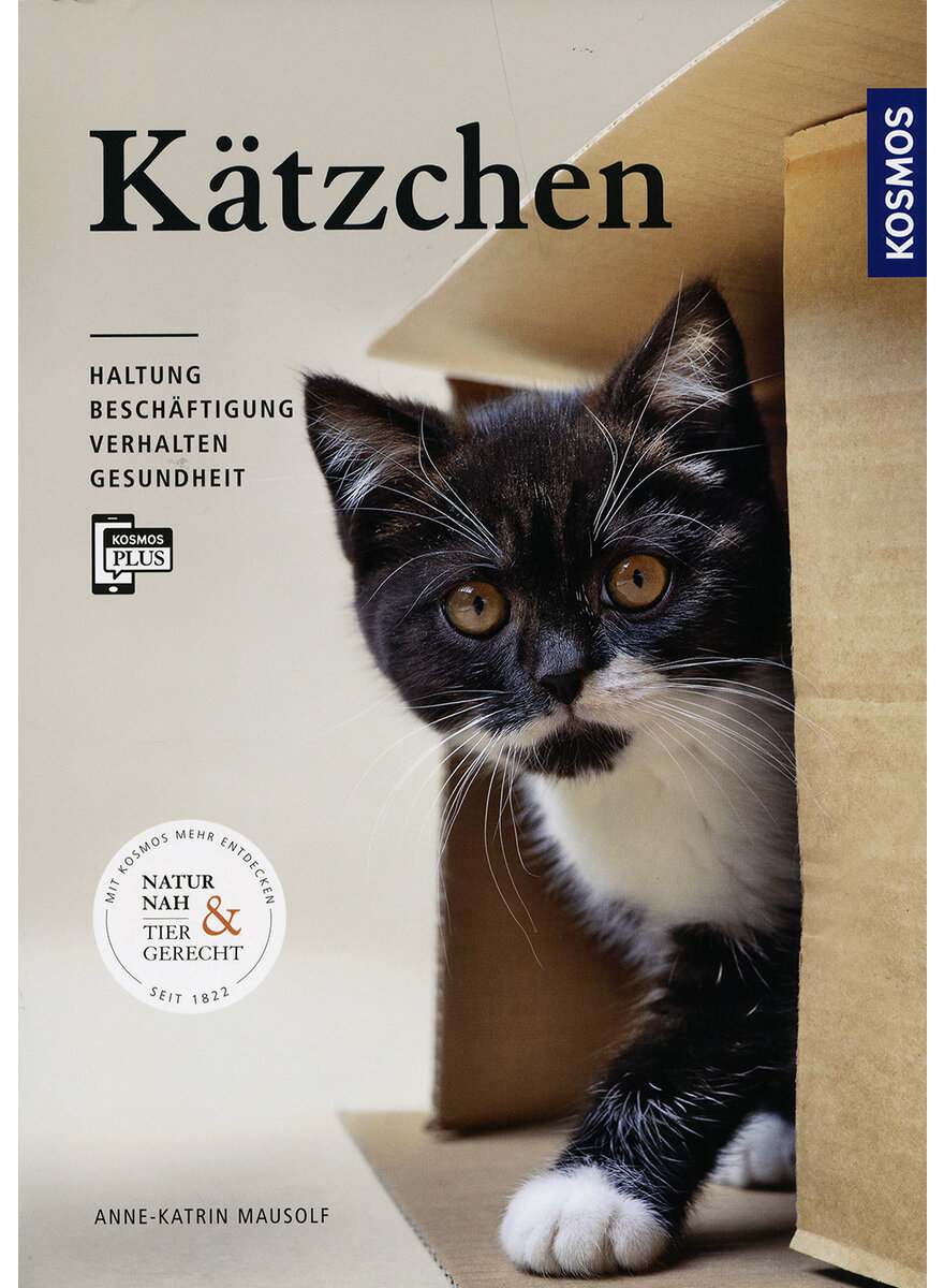 Auf diesem Bild sehen Sie das Produktbild 1 fr KTZCHEN - ANNE-KATRIN MAUSOLF