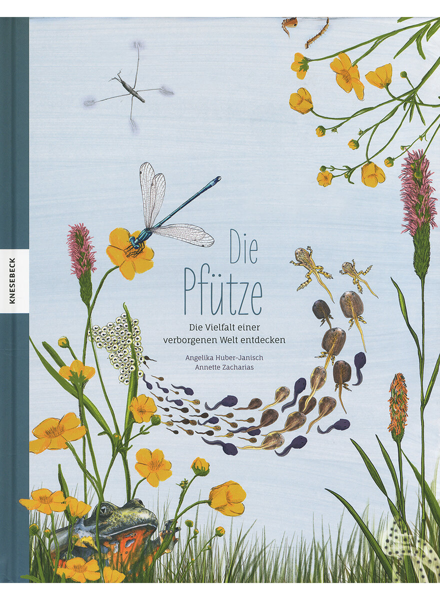 Auf diesem Bild sehen Sie das Produktbild 1 fr DIE PFTZE - ANGELIKA HUBER-JANISCH