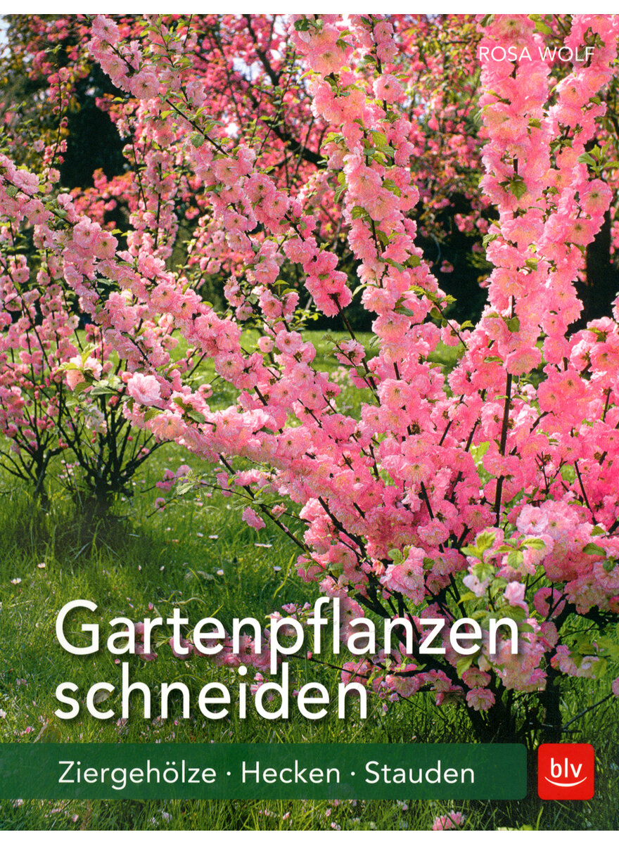 GARTENPFLANZEN SCHNEIDEN - ROSA WOLF