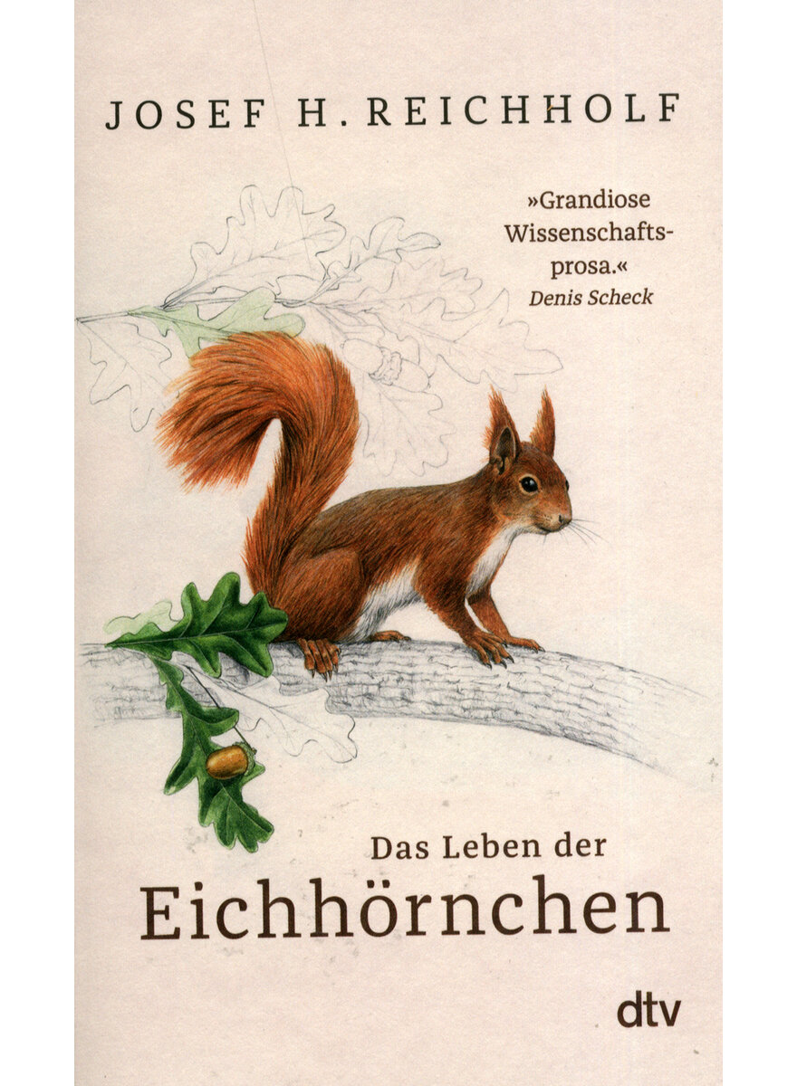 Auf diesem Bild sehen Sie das Produktbild 1 fr DAS LEBEN DER EICHHRNCHEN - JOSEF H. REICHHOLF