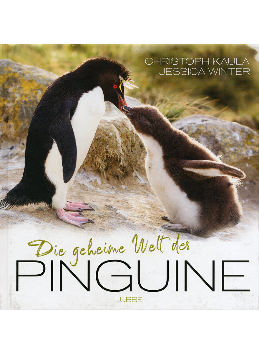 DIE GEHEIME WELT DER PINGUINE - KAULA/WINTER