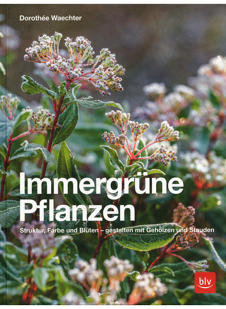 IMMERGRNE PFLANZEN - DOROTHEE WAECHTER