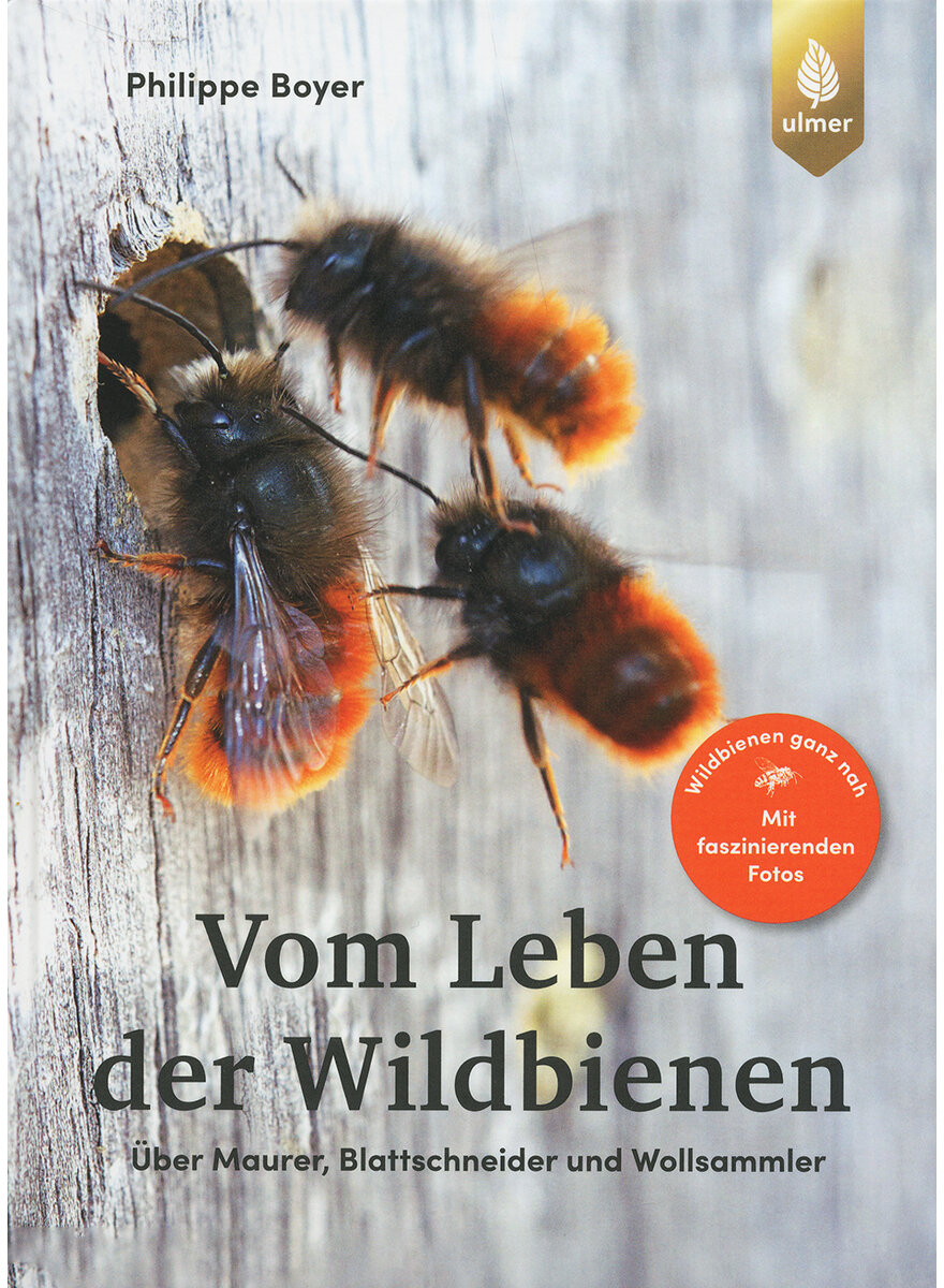 VOM LEBEN DER WILDBIENEN - PHILIPPE BOYER