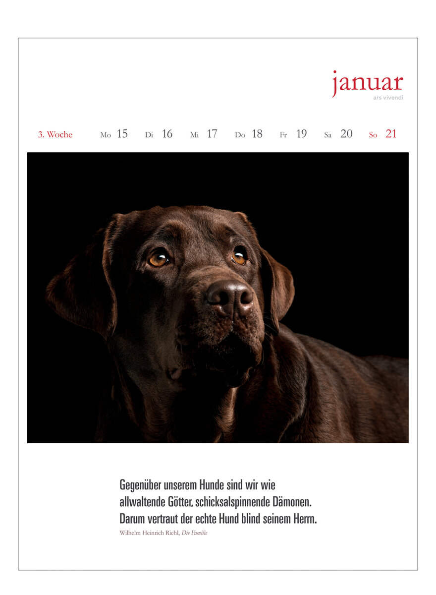 LITERARISCHER HUNDEKALENDER 2024 - Bild 5