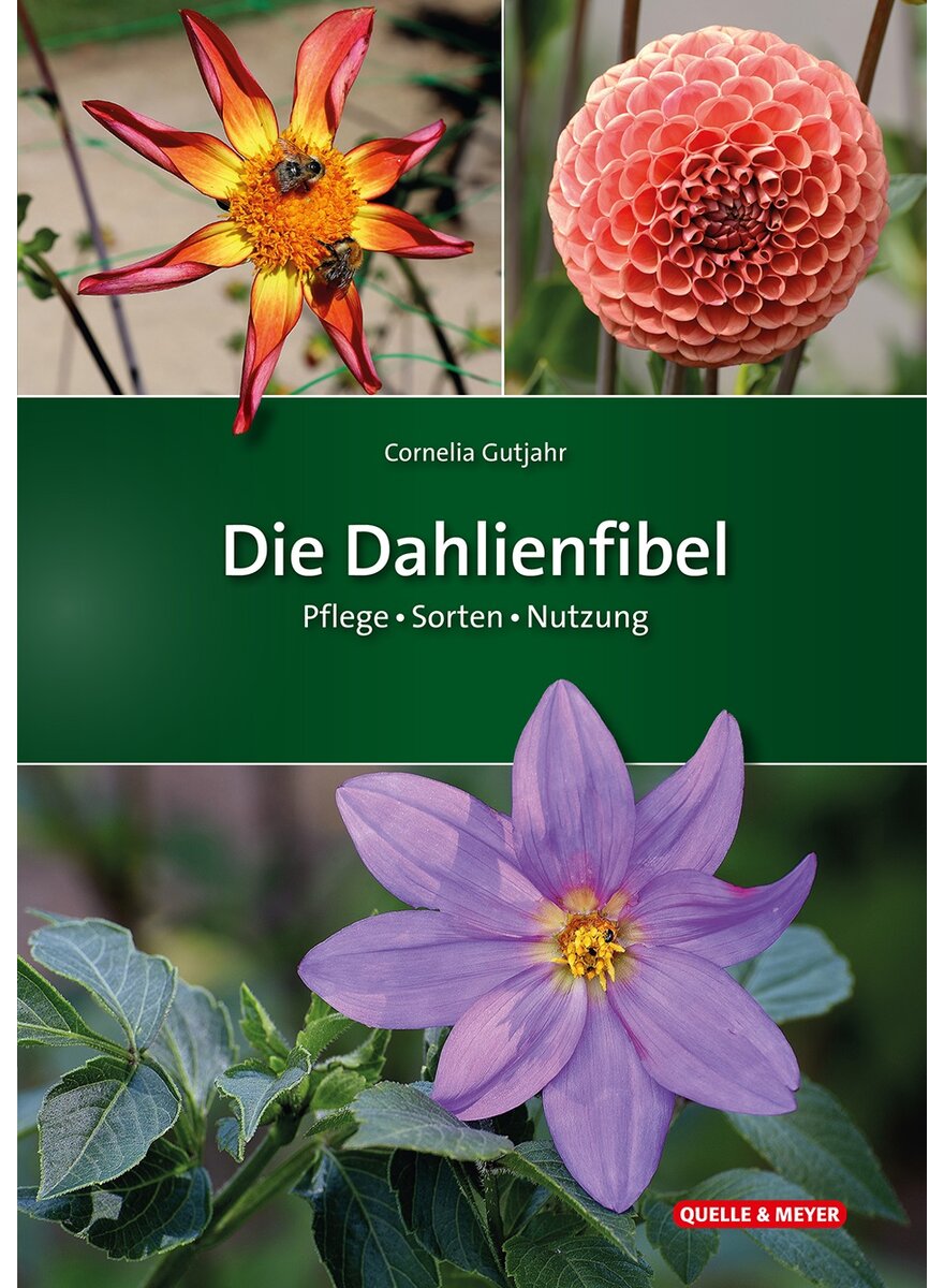 Auf diesem Bild sehen Sie das Produktbild 1 fr DIE DAHLIENFIBEL - CORNELIA GUTJAHR