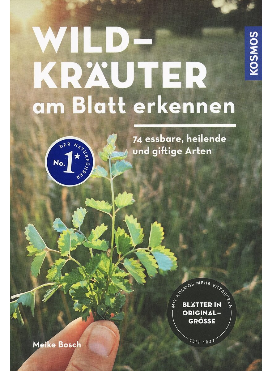 WILDKRUTER AM BLATT ERKENNEN - MEIKE BOSCH