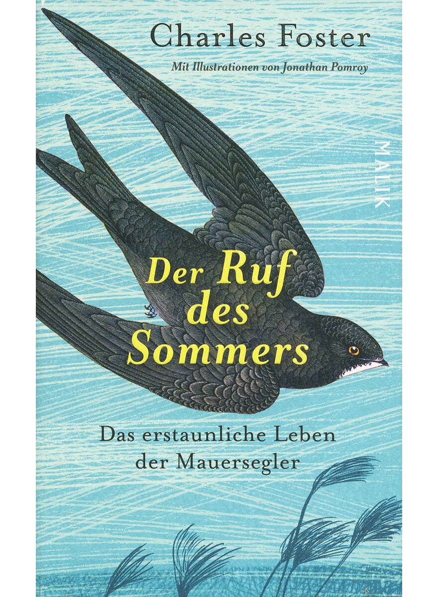 DER RUF DES SOMMERS - CHARLES FOSTER