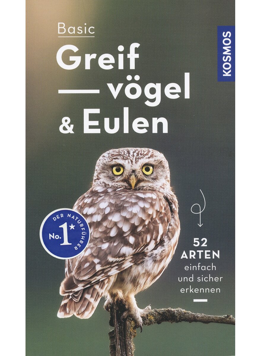 BASIC GREIFVGEL UND EULEN - VOLKER DIERSCHKE - 52 ARTEN EINFACH UND SICHER ERKENNEN