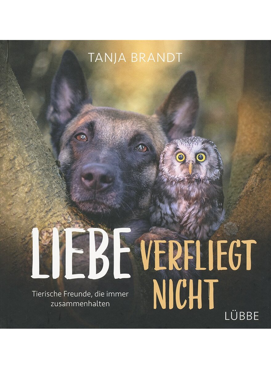 LIEBE VERFLIEGT NICHT - TANJA BRANDT